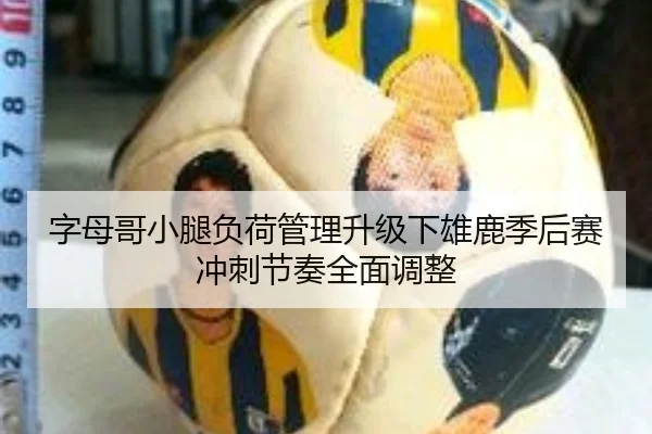 字母哥小腿负荷管理升级下雄鹿季后赛冲刺节奏全面调整